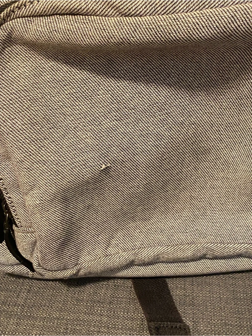 Everlane canvas backpack